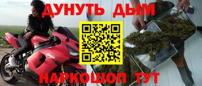 СК Бийск