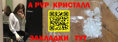 СК Бийск