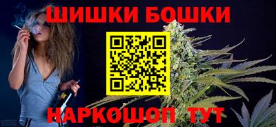 СК Бийск