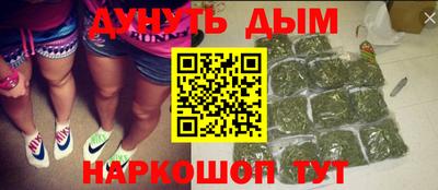 СК Бийск