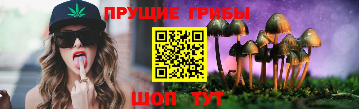 Карталы  Псилоцибиновые грибы Cubensis  Вход с VPN  Галлюциногенные грибы мухоморы 